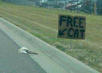 Return to the Signs Page