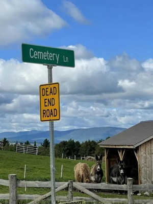 Return to the Signs Page