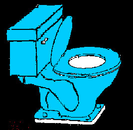 toilet.jpg (30999 bytes)